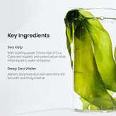 ماسک ورقه ای بایودنس